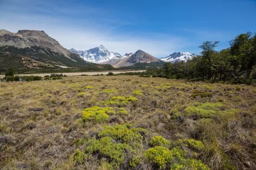 Foto auf Acrylglas Patagonia © Galyna Andrushko