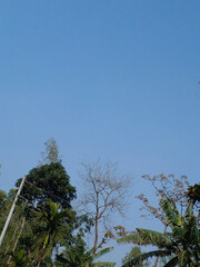 Beautiful sky blue with trees. sky with clouds. beautiful sky background.