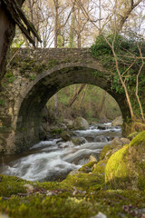 Old masonry stone bridge over the mighty Ambroz River and rocks with abundant moss in the forest vertical