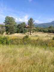 Fototapety na wymiar - Fototapeta24.pl