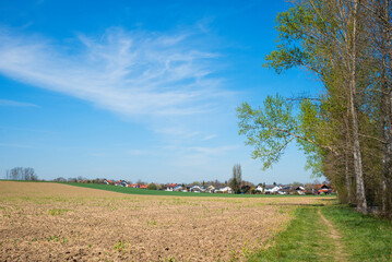 footpath at the outskirts of Schwindegg, upper bavaria - 790932792