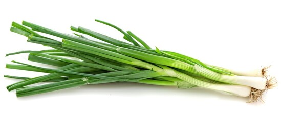 Green scallion isolated on a white background.
