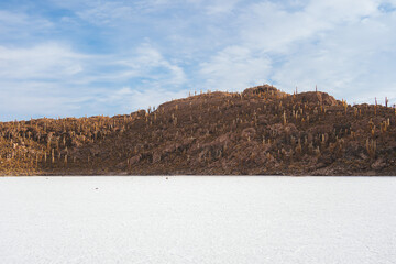 Incahuasi island on Salar de Uyuni salt flats, Bolivia