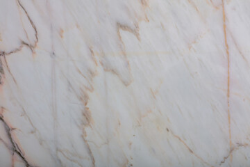 Natural Calacatta Creme marble background for your new interior work.
