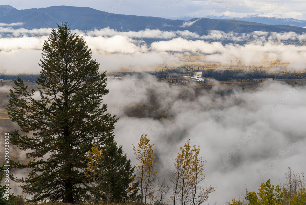 Poster Foggy Autumn Landscape in Grand Teton National Park Wyoming