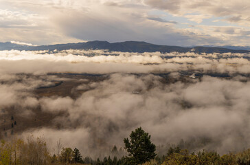 Naklejka premium Foggy Autumn Landscape in Grand Teton National Park Wyoming