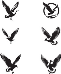 seagull  bird silhouette  black color . white color background  