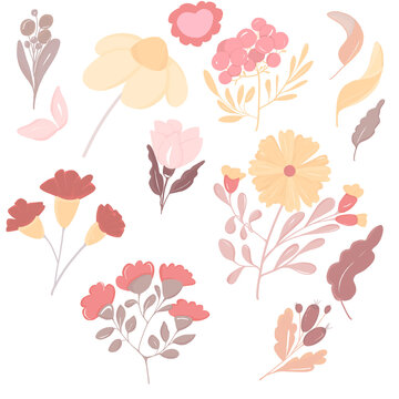 Fields flowers illustration. Wildflowers. Colorful design for cards, packing, greetings