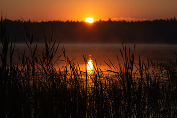 Golden sunrise on a foggy morning over the lake seen from behind the reeds