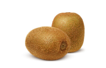 キウイフルーツ  イラスト リアル