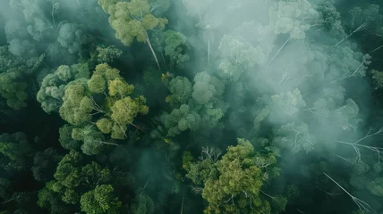 Fotobehang Aerial view of a rainforest canopy created with Generative AI © mg photo