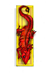 salamander reptile red illustration