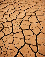 Cracked dry earth texture in desert