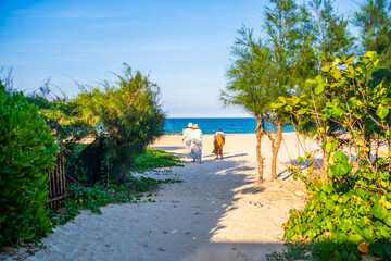 View of Bai Xep beach in Phu Yen province, Vietnam. Tropical coast from cliff above. Vietnam travel destination, golden sand beach waving sea rock boulders.