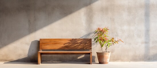 Wooden bench near potted plant