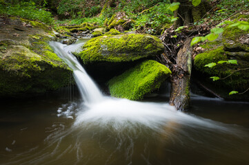 a small stream in a forest with a small water fall
