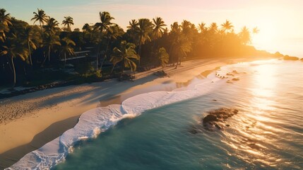 Aerial view of beautiful tropical beach with palm trees and sand at sunset