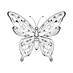 butterfly black vector sketch, hand drawing art, coloring page 