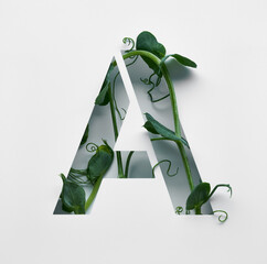 The capital letter A is decorated with a young green pea sprout on a white background.