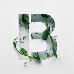 The capital letter B is decorated with a young green pea sprout on a white background.