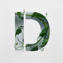The capital letter D is decorated with a young green pea sprout on a white background.