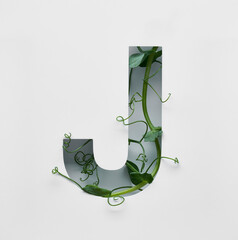 The capital letter J is decorated with a young green pea sprout on a white background.