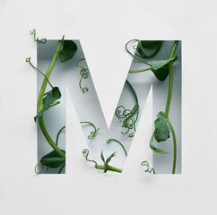 The capital letter M is decorated with a young green pea sprout on a white background.
