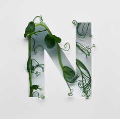 The capital letter N is decorated with a young green pea sprout on a white background.