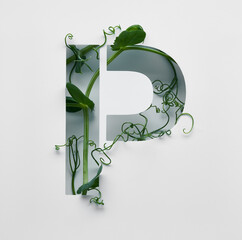 The capital letter P is decorated with a young green pea sprout on a white background.