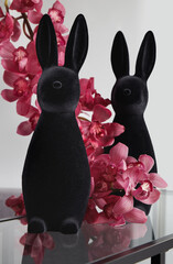 Two Easter burying in flowers