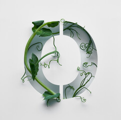 The capital letter O is decorated with a young green pea sprout on a white background.