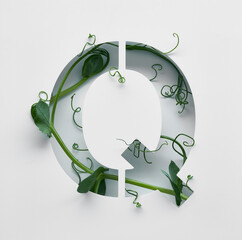 The capital letter Q is decorated with a young green pea sprout on a white background.