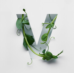 The capital letter V is decorated with a young green pea sprout on a white background.