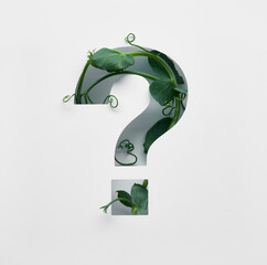 A question mark is decorated with a young green pea sprout on a white background.