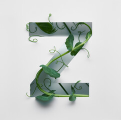The capital letter Z is decorated with a young green pea sprout on a white background.