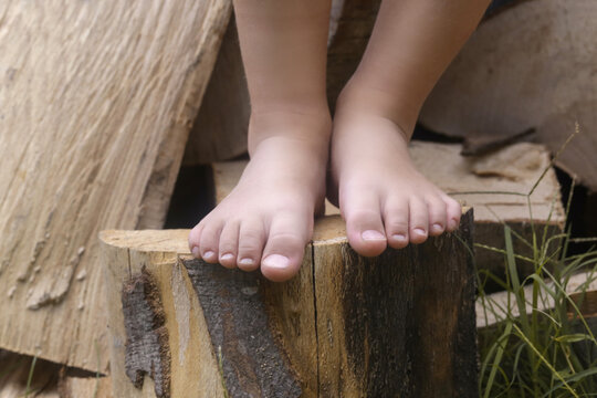 Child feet on wood log, barefoot little girl on tree trunk, countryside lifestyle, concept of grounding and connecting with nature	