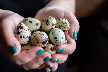 Woman with quail eggs in hand, creative art of cuisine