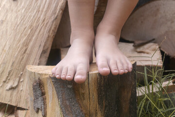 Child feet on wood log, barefoot little girl on tree trunk, countryside lifestyle, concept of...