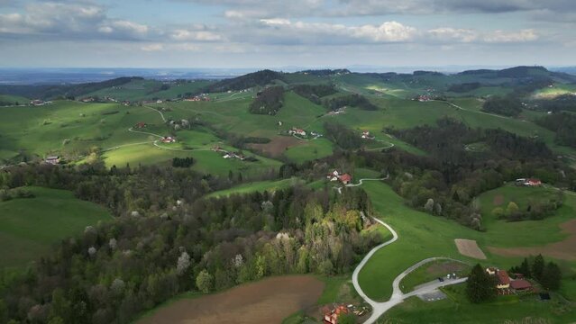 Aerial view over vineyard fields in spring at sunset. Rolling hills nature landspace in Slovenia, Europe, 4k