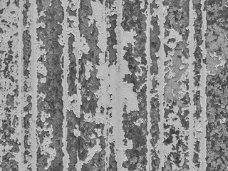 Old peeling paint on a steel container, grunge structure background, black and white photo, 16:9