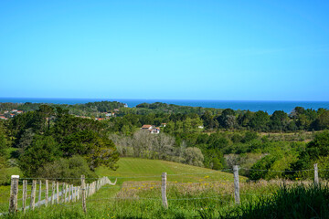 A view of a wooden fence with barbed wire enclosing a meadow, a forest in the background. Beyond that, the coastline, and further out, the blue sea under a cloudless sky, on the cliff