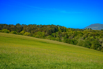 "A view of a moonlit meadow sloping downward, with another hill in the foreground crowned by a small forest. In the background, mountains rise, and above, a clear blue sky without clouds. In the foreg