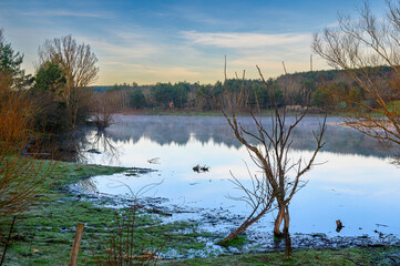 "A view of the mist rising from the water of a swamp, a lake, on a sunny but cold winter morning at the Pantano de la Cuerda del Pozo, Vinuesa, Spain."