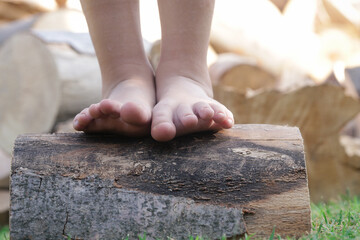 Child feet on wood log, barefoot little girl on tree trunk, countryside lifestyle, concept of grounding and connecting with nature	 - obrazy, fototapety, plakaty