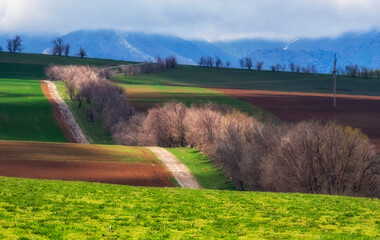 A dirt road meanders through a vibrant green field with towering mountains in the backdrop, under a clear blue sky. Trees and plants dot the landscape of this picturesque scene