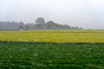Blurry snow with agriculture field and gray sky background at Swiss village of Dinhard. Photo taken April 21st, 2024, Dinhard, Canton Zürich, Switzerland.
