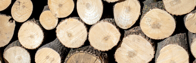 View of the ends of logs stacked in a pile. Round logs in a pile. End view, flat layout.
