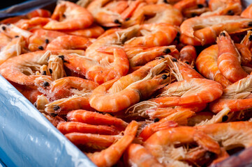 Freshly frozen tiger shrimp. Frozen Tiger Shrimp Packed and Ready for Market