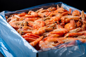 Freshly frozen tiger shrimp. Frozen Tiger Shrimp Packed and Ready for Market