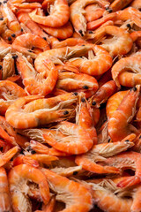 Freshly frozen tiger shrimp. Frozen Tiger Shrimp Packed and Ready for Market